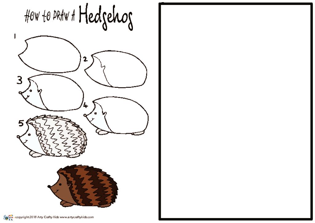 How to Draw a Hedgehog Arty Crafty Kids
