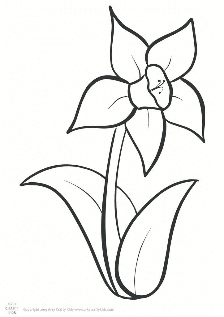 Daffodil Colouring Page Arty Crafty Kids