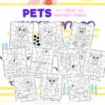 Pets Color By Number Pages - Arty Crafty Kids