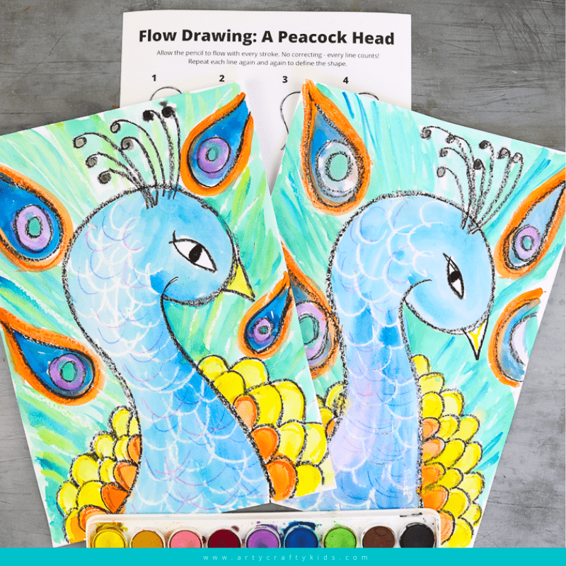 Peacock Drawing , an art print by Morgan Davidson - INPRNT