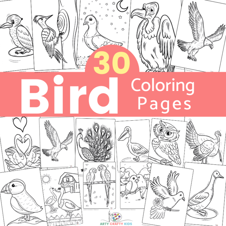 free birds coloring pages