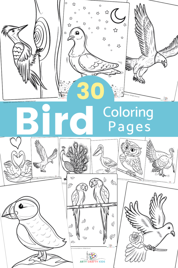 Bird Coloring Pages - 30 Bird Coloring Sheets - Arty Crafty Kids