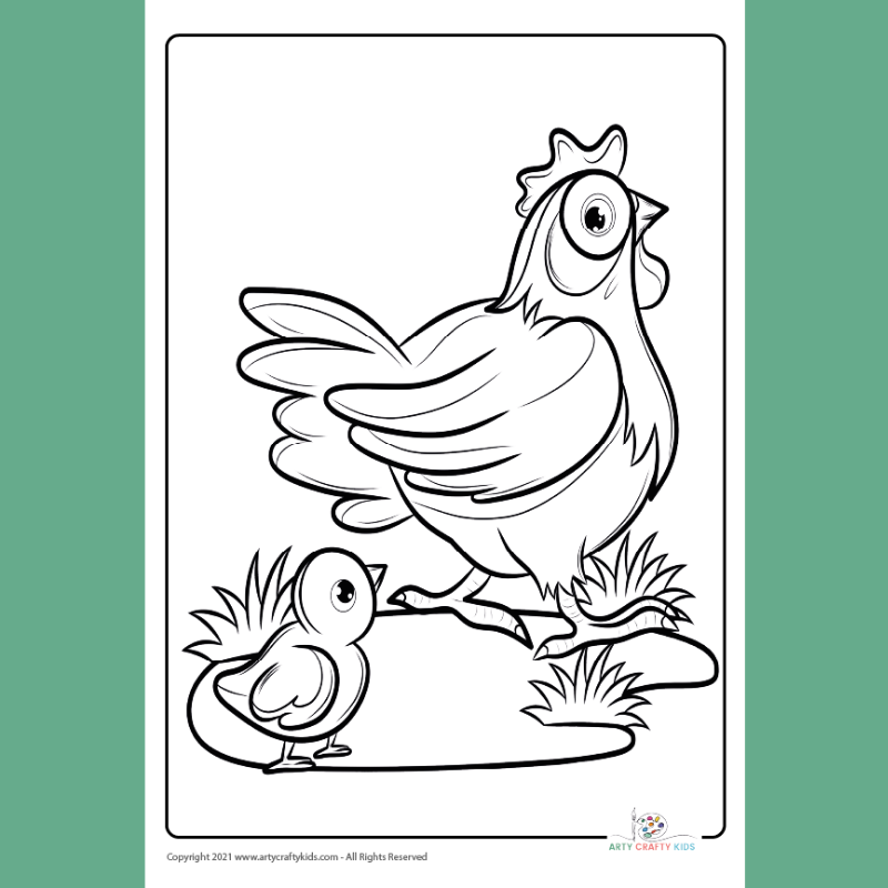 poultry coloring pages