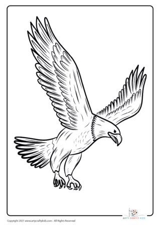 Bird Coloring Pages - 30 Bird Coloring Sheets - Arty Crafty Kids