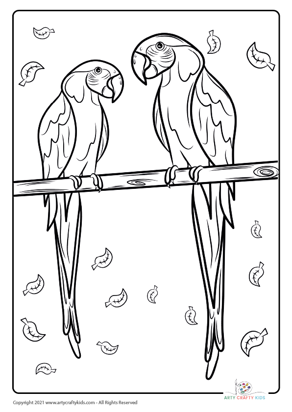 Scarlet Macaw Coloring Page with Fun Fact {FREE Printable Download