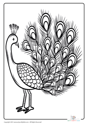 Bird Coloring Pages - 30 Bird Coloring Sheets - Arty Crafty Kids