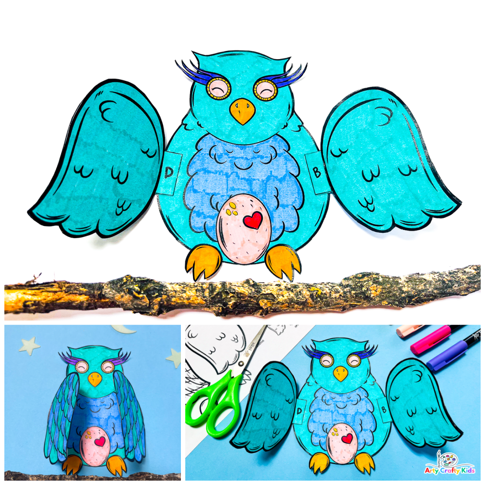 Spittin Toad: Kids Art...Drawing Owls