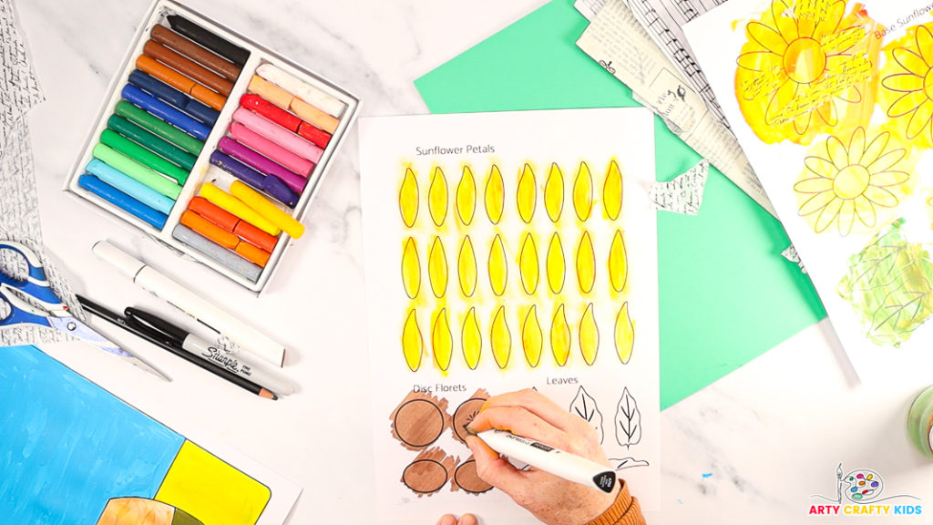 Image of a hand coloring in the disc flowers brown and using a darker pen to create the impression of seeds.