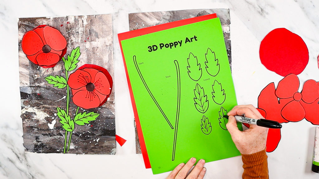 Image featuring a hand drawing the veins into the poppy leaves.